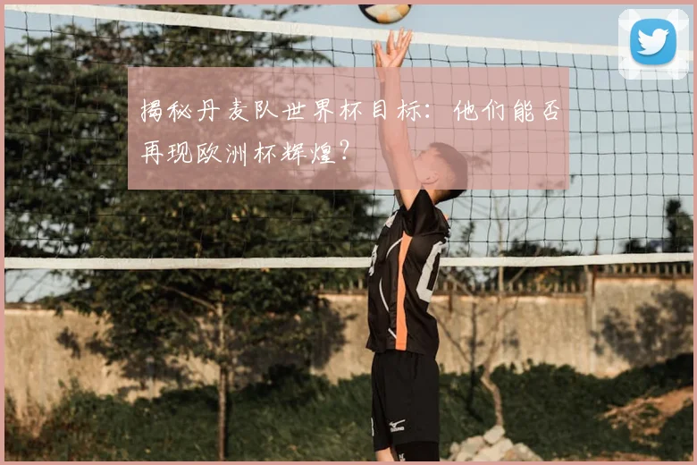 揭秘丹麦队世界杯目标：他们能否再现欧洲杯辉煌？